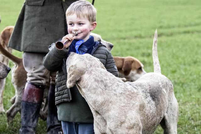 The hounds are socialised from puppies to be around people, livestock, farms and poultry before starting their hunting careers at around 18 months old.