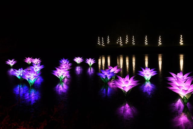 Vistiors can expect a flickering fire garden through to wild wicker sculptures and magical light installations.