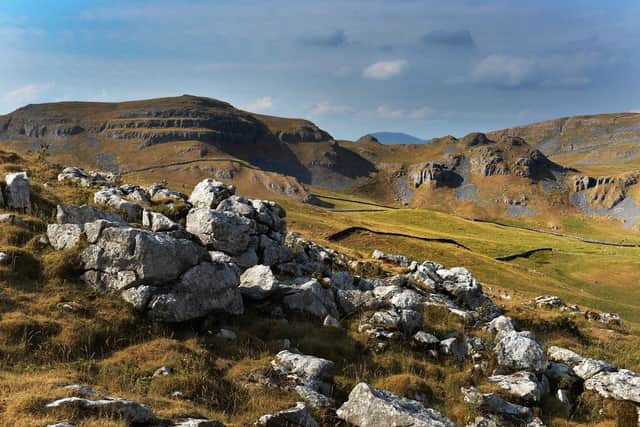 Attermire Scar, Yorkshire Dales National Park. (Pic credit: Bruce Rollinson)