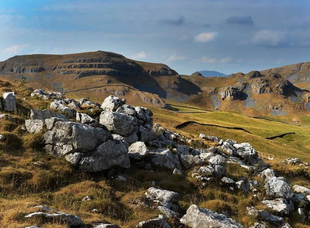 Attermire Scar, Yorkshire Dales National Park. (Pic credit: Bruce Rollinson)