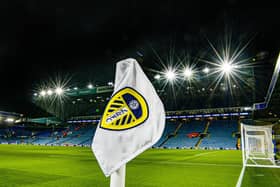 Leeds United are among the promotion contenders in the Championship. Image: Tony Johnson