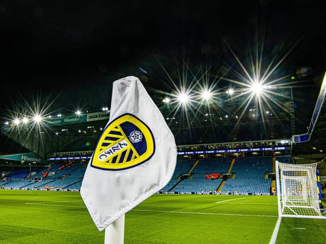 Leeds United are among the promotion contenders in the Championship. Image: Tony Johnson