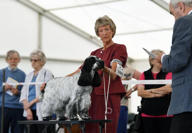 44th Leeds Championship Dog Show at Harewood., organised by the the Leeds City and District Canine Association,