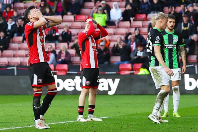 DESPAIR: Anel Ahmedhodzic and Tom Davies during Sheffield United's 5-0 defeat to Brighton and Hove Albion