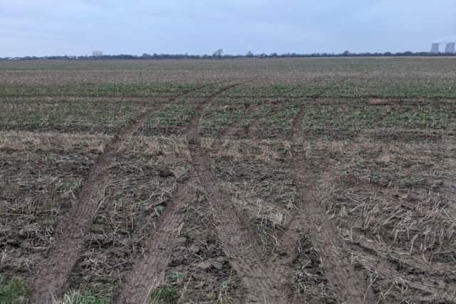Damage caused to fields in North Yorkshire after a suspected poaching incident