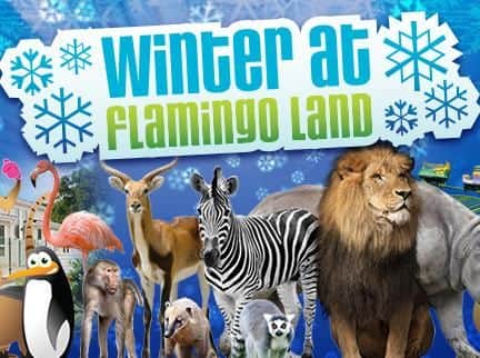 Flamingo Land is open all year round with some amazing things to do this winter