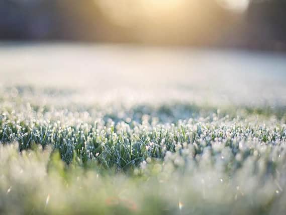 Overnight frosts could scupper gardening plans.