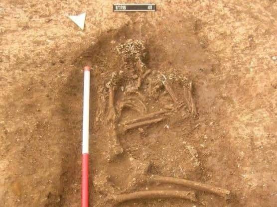 One of the two skeletons discovered