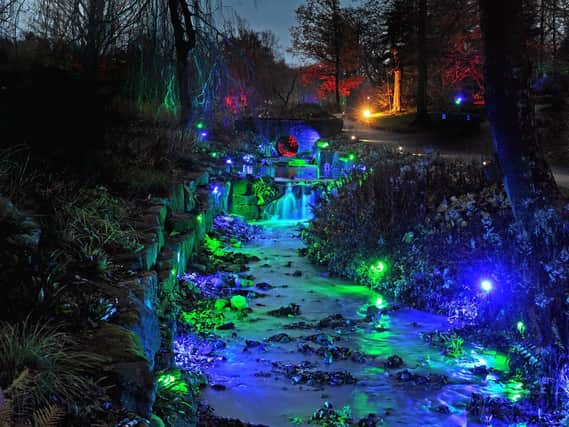 Winter Glow Christmas Lights at RHS Harlow Carr Gardens in Harrogate. Picture Tony Johnson.