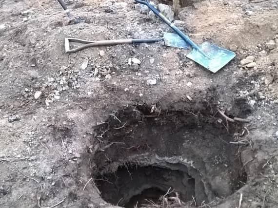 Spades used to dig into the badger sett at Melton, East Yorkshire.