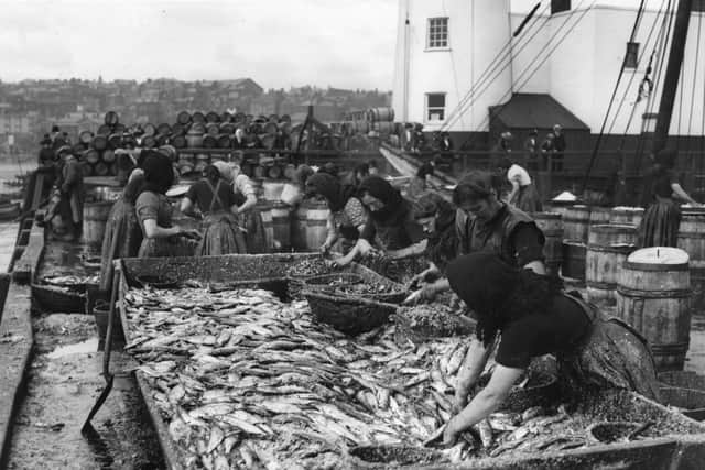 Scottish women gutting herrings at Scarborough harbour. Thousands of women travel from Scotland to Great Yarmouth to process the catch during the autumn herring season.