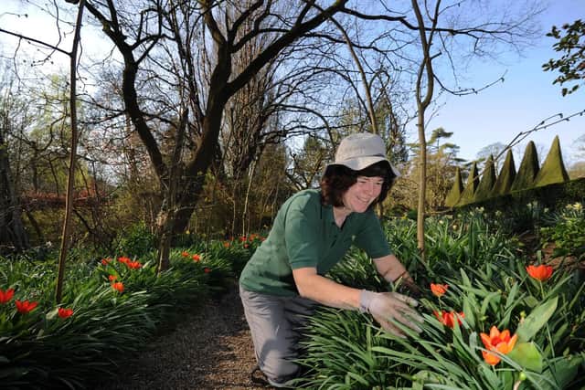 Gardener Janet Middleton at work