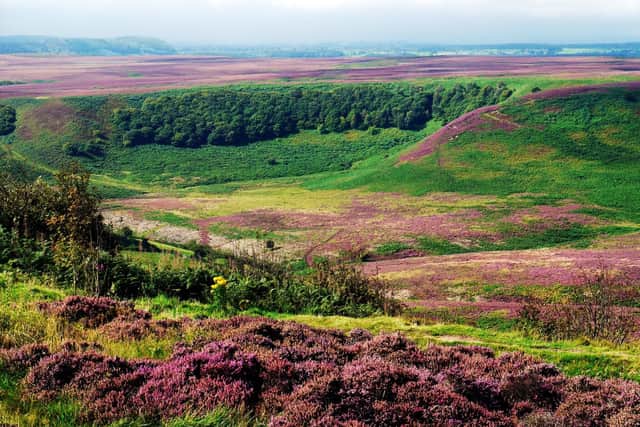 The Hole looks glorious when the heather is in bloom