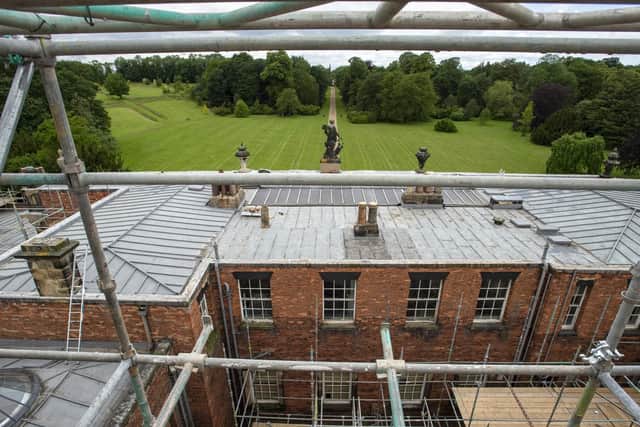 Tours of the roof for visitors will begin later this summer