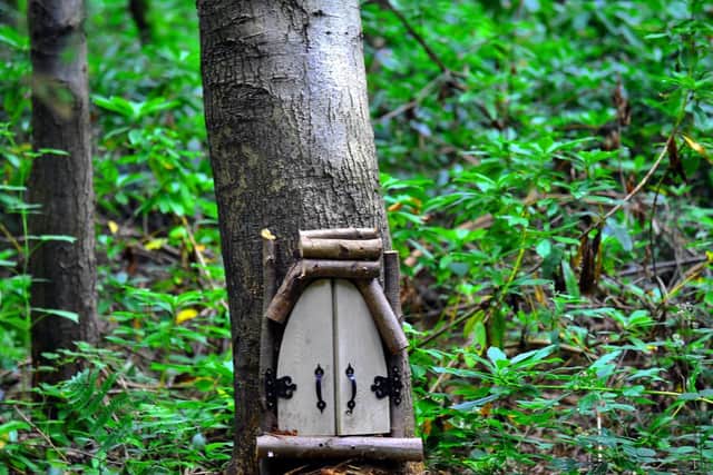 A fairy house on the Northwood Trail