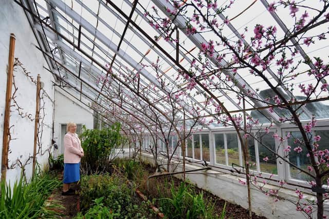 Lady Graham in the peach house