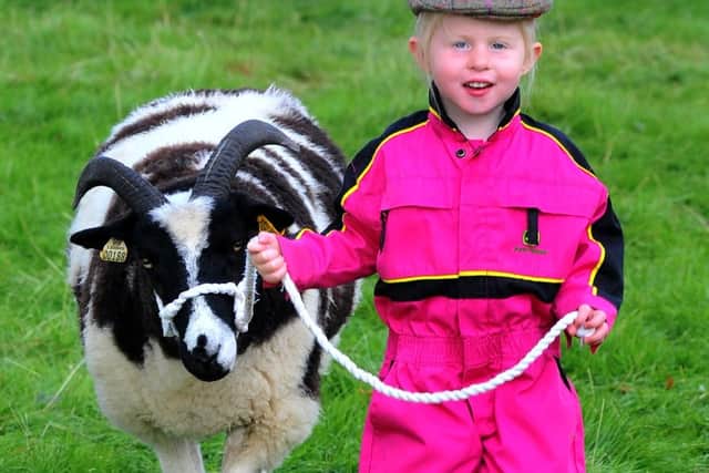 Esmay Duddin 3 from Chop Gate with a Jacob Ewe her family were showing.
