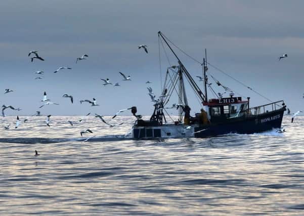 The fishing industry's future is tied to Brexit.