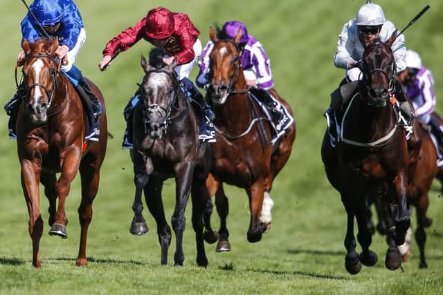 William Buick riding Masar (L, blue) win The Investec Derby from Dee Ex Bee (R, grey) during Investec Derby Day at Epsom Downs Racecourse. Photo: Alan Crowhurst/Getty Images