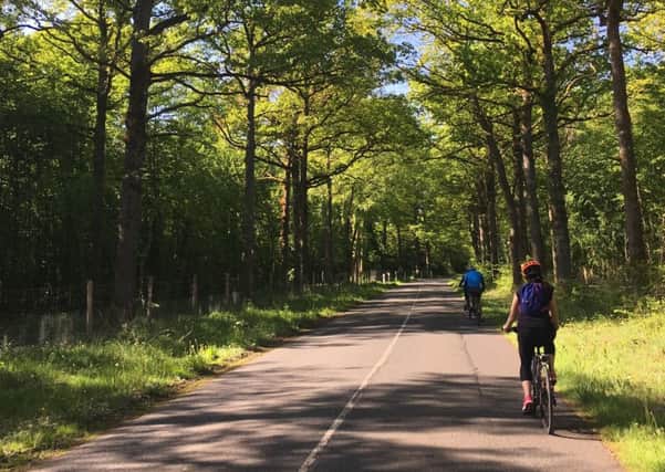 SADDLE UP: Abi Jacksons group cycling through a forest road in the Emance region.
