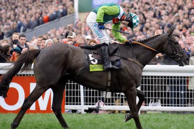 Jockey Sam Thomas on Denman after winning the 2008 Cheltenham Gold Cup. Denman, the 2008 Cheltenham Gold Cup winner, died on Tuesday at the age of 18, trainer Paul Nicholls told Betfair. (Picture: Barry Batchelor/PA Wire)