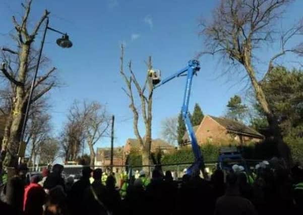 Sheffield Council has paid Â£700,000 in compensation for tree-felling delays.