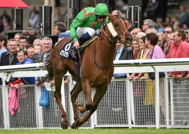Doncaster bid: Watchable and Daniel Tudhope join forces again. Picture: Sportsfile/Corbis via Getty Images