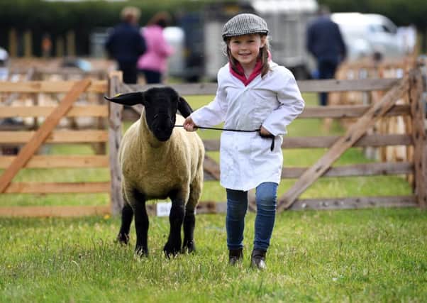 Six-year-old Ruby Ruddy with her Suffolk sheep at the 40th North Yorkshire County Show. Pictures by Jonathan Gawthorpe.