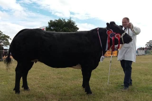 Dylan Townend with Clifftown Ladyluck, the supreme beef champion.