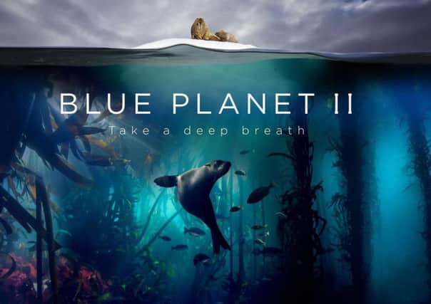 Sir David Attenborough's Blue Planet II has trandformed public attitudes towards conservation.