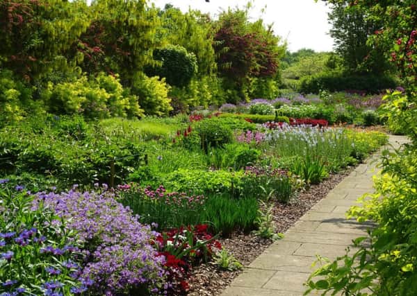 OASIS OF BEAUTY: Breezy Knees gardens at Warthill, near York.