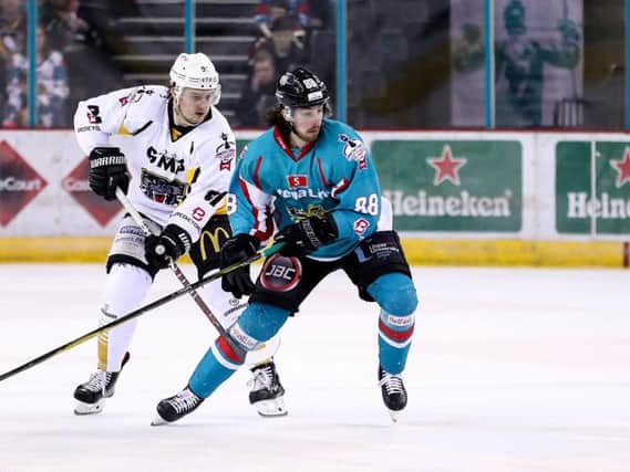 NEW FACE: Ryan Martinelli has made the switch from Belfast Giants to Sheffield Steelers.