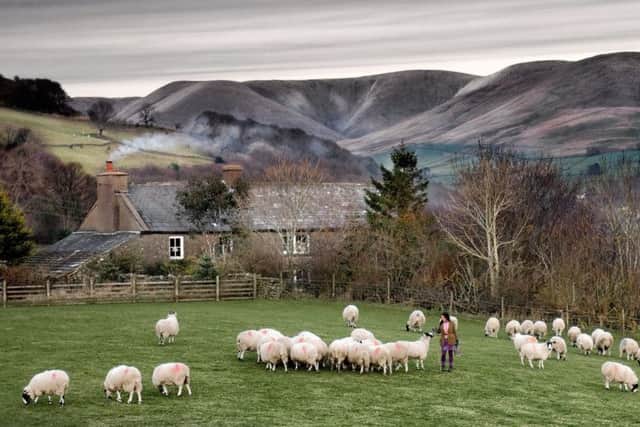 Alison O'Neill at home on her farm near Sedbergh.