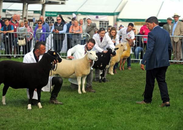 Rural issues are in the spotlight at the Great Yorkshire Show.