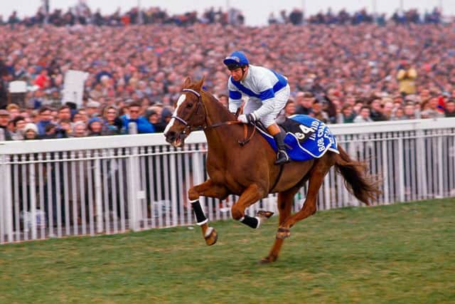 Bob Champion and Aldaniti parade at the 1987 Grand National to raise money for the Bob Champion Cancer Trust.