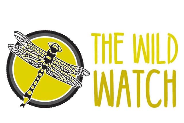 The Wild Watch nature survey to help save endangered species