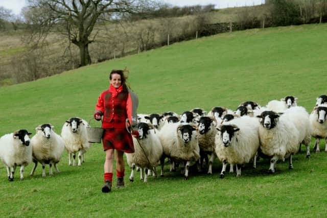 Alison O'Neill the 'barefoot shepherdess' with some of her  Rough Fell ewes  on her farm at Shacklabank Farm near Sedbergh .