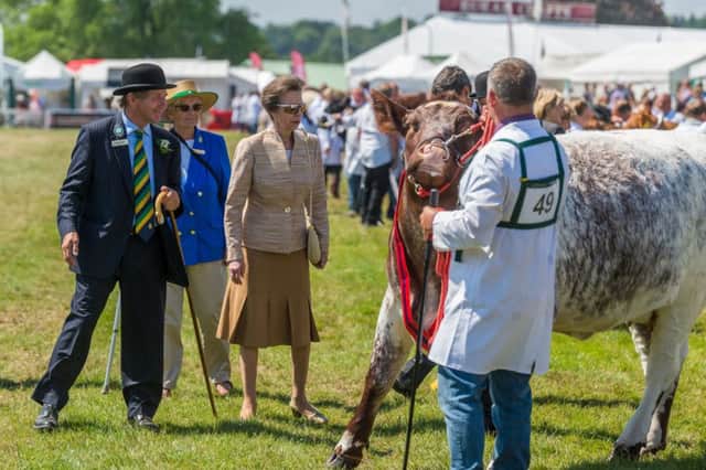 Princess Anne at the Great Yokshire Show
