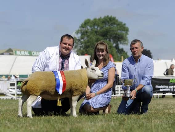 Aled Groucott from Shropshire with his Beltex, pictured with Holy Jones and Paul Tippetts.