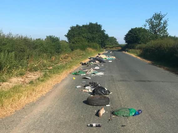 The fly-tipping along a road near Stapleton