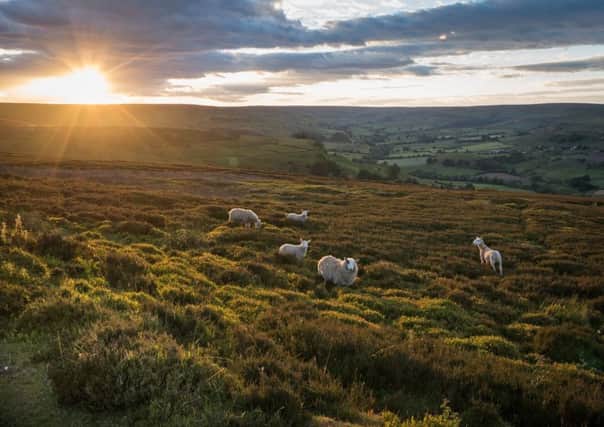 What is the future of the North York Moors/