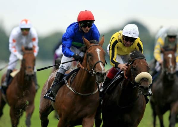 Tim Easterby's Wells Farhh Go heads to York's Great Voltigeur Stakes next month.