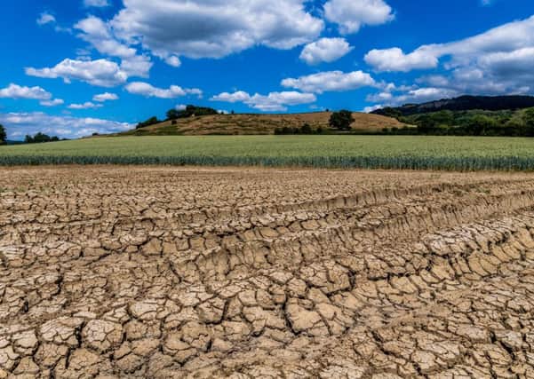 DRIED OUT:  The warm weather continues to bake the earth in a field near Sutton-under-Whitestonecliffe, close to Thirsk.  PIC: James Hardisty