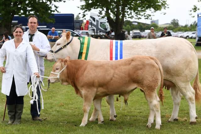Neil and Jess Barrett from Everingham with their British Blonde winner of the beef interbreed title at Driffield Show.