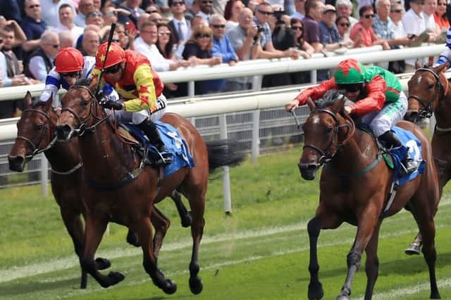 Signora Cabello (second right), pictured winning at York in May, heads to France on Sunday.
