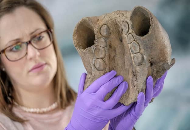 Jennifer Dunne, collections manager at Scarborough Museums Trust, with the walrus skull. Picture: Tony Bartholomew