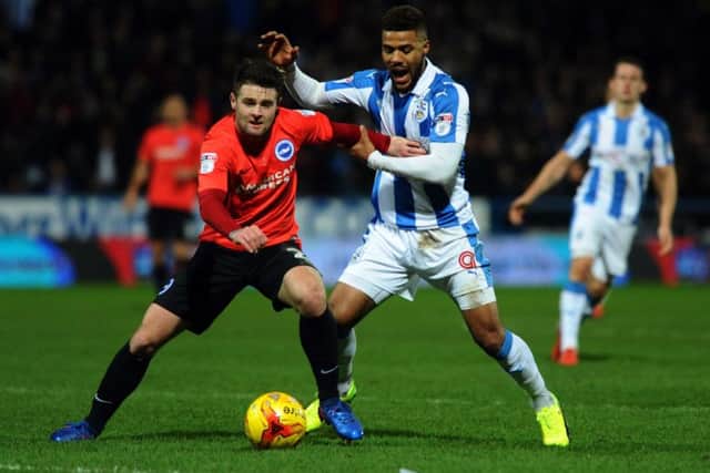 Hull target: Brighton's Oliver Norwood in action against former club Huddersfield.