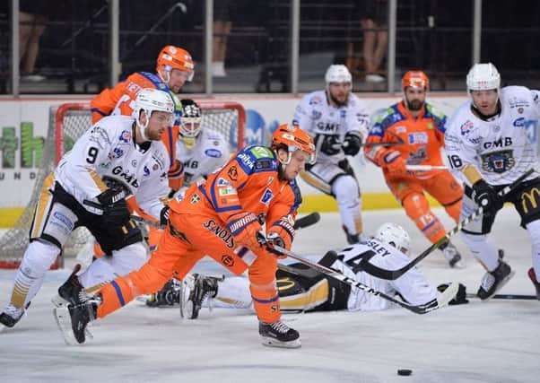 Sheffield Steelers will being their 2018-19 campaign with a trip to Nottingham Panthers in the Challenge Cup on September 1. Picture: Dean Woolley.