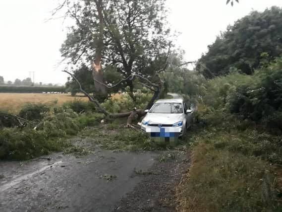 Lucky escape for the occupants of this car after lightening hit a tree in Foxholes, North Yorkshire.