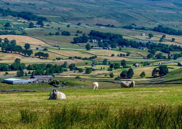 Yorkshire's rural economy needs to be nurtured.